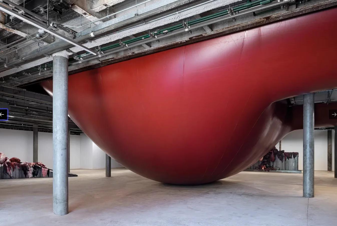 Anish Kapoor