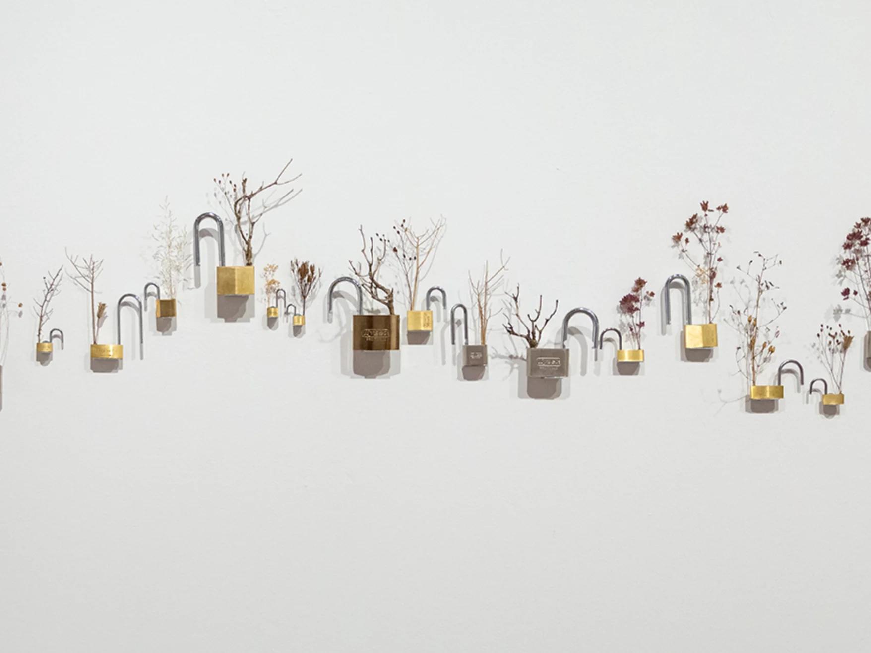 Diana Fonseca. Entelequia